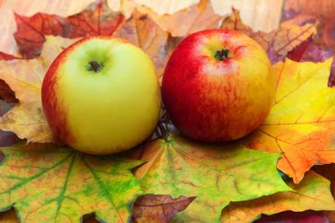Apples and leaves Stock Photos