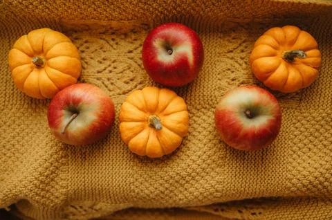 Apples and mini pumpkins on knitted autumn background Stock Photos