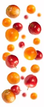 Apples and oranges Stock Photos