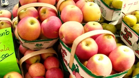 Apples and Pears Stock Footage 108554888