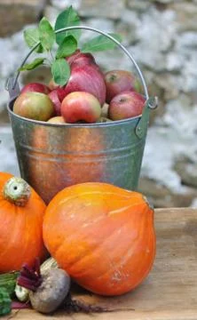 Apples and pumpkins Stock Photos