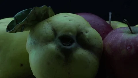 Apples and quinces Stock Footage 82228968