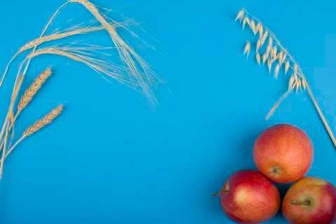 Apples and wheat on a blue background Stock Photos