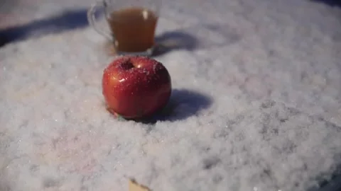 Apples are Lying in the Snow Stock Footage 144637647