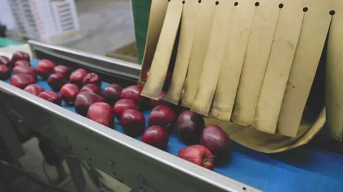 Apples on an automatic line at the factory Stock Footage 206323642