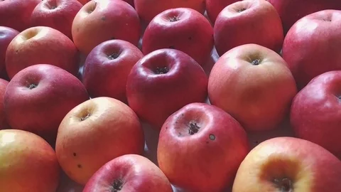 Apples background camera moving diagonally Stock Footage 103339808
