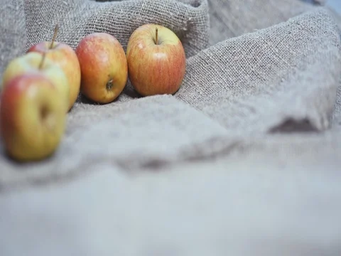 The apples on the background of the canvas Stock Footage 73551224