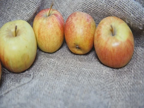 The apples on the background of the canvas Vídeos de archivo 73551246