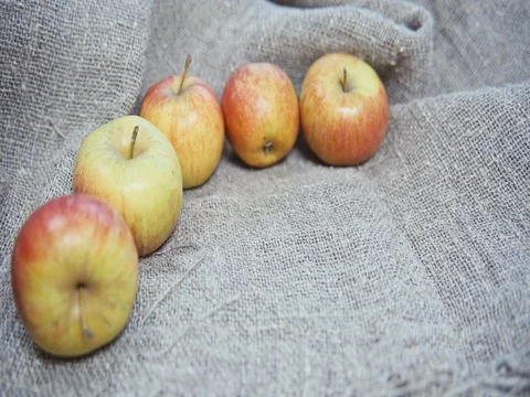 The apples on the background of the canvas Video stock 73551278