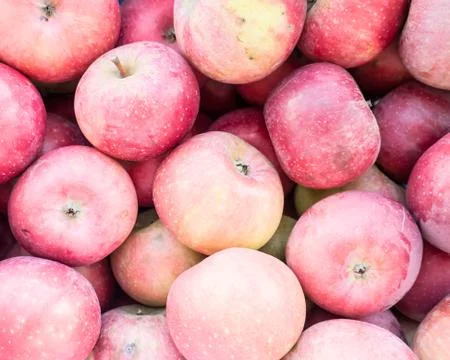 Apples background. Foto stock