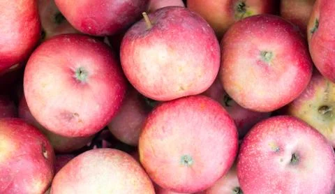 Apples background. 스톡 사진