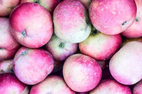 Apples background. Stock Photos