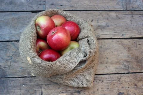 Apples in a bag lying Stock Photos