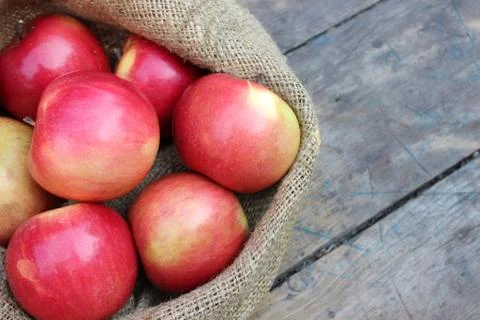Apples in a bag lying Stock Photos