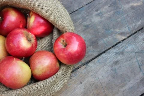 Apples in a bag lying Stock Photos