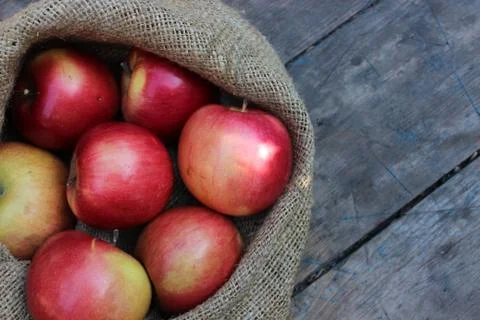 Apples in a bag lying Stock Photos