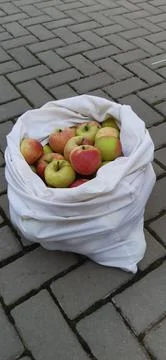 Apples in a bag Foto stock