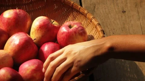 Apples in a basket Stock Footage 8540754