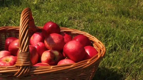 Apples in a basket Stock Footage 8560369