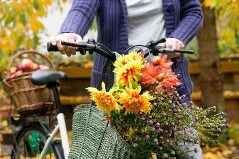 Apples in the basket Stock Photos