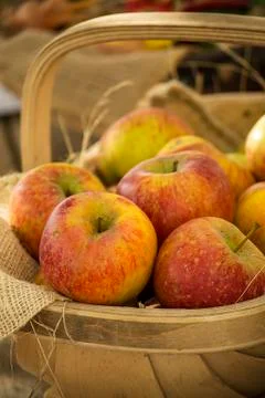 Apples in a basket Stock Photos