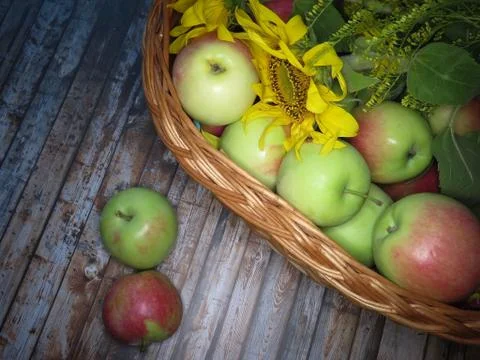 Apples in basket Stock Photos