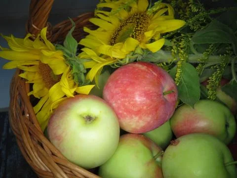 Apples in basket Foto stock