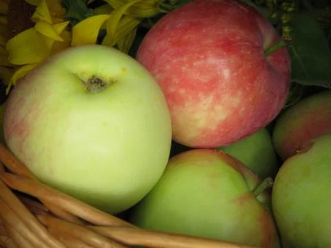 Apples in basket Stock Photos