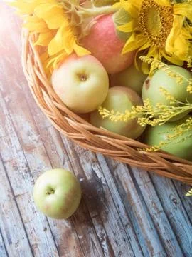 Apples in basket Stock Photos