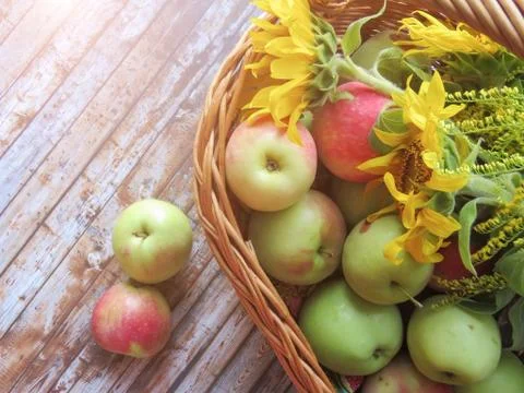 Apples in basket Stock Photos