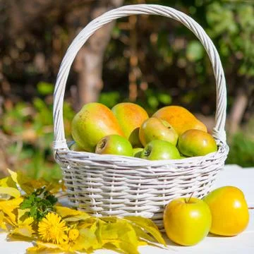 Apples in basket Stock Photos