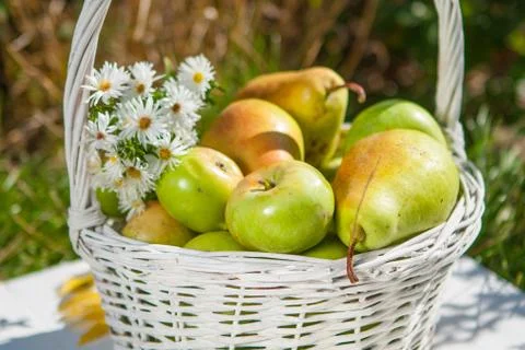 Apples in basket Stock Photos