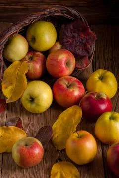 Apples in basket Stock-Fotos