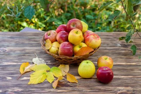 Apples in basket 스톡 사진