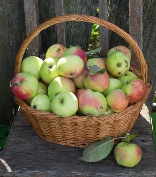Apples in a basket Stock Photos