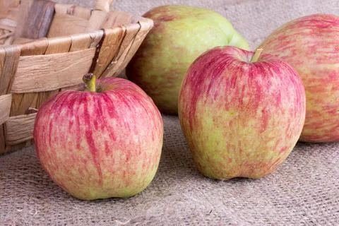 Apples with basket. Stock Photos