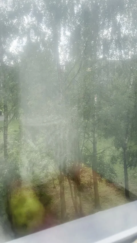Apples Basket Reflection Vídeos de archivo 281504039