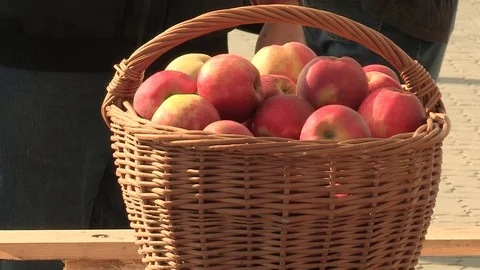 Apples in a basket on a weighing machine Stock Footage 92044499
