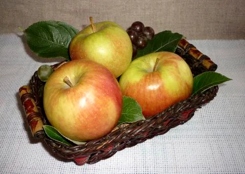 Apples in a basket on a white background Stock Photos