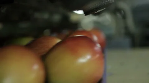 Apples being Processed Vídeo Stock 32787178