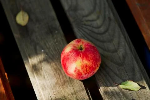 Apples on the bench Stock Photos