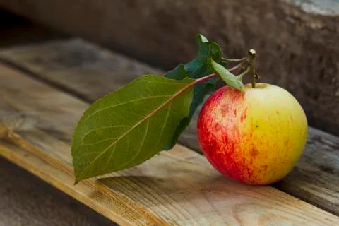 Apples on the bench Stock Photos