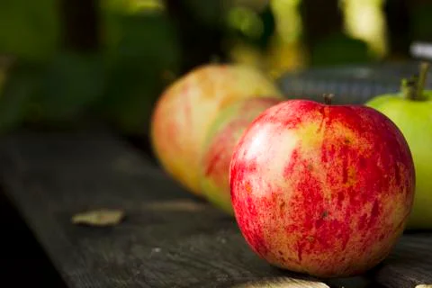 Apples on the bench Stock Photos