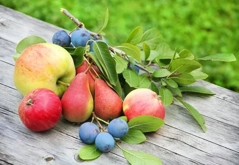 Apples, cherries,  pear Stock Photos