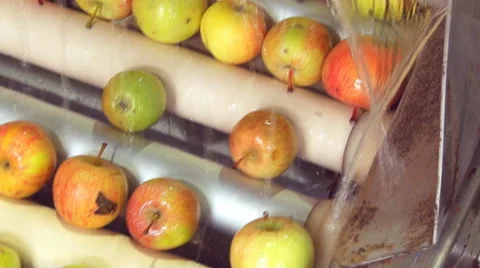Apples on a conveyor belt close up Stock Footage 46749864