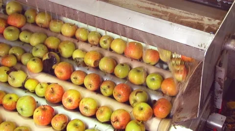 Apples on a conveyor belt Video stock 46749861