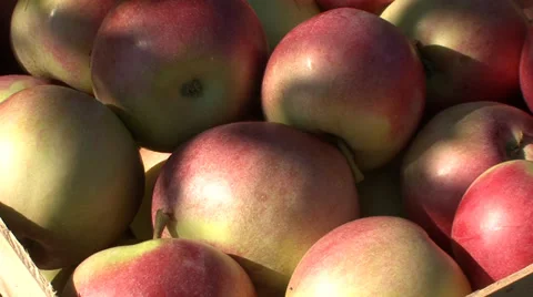 Apples in a crate close up Stock-Footage 35704372