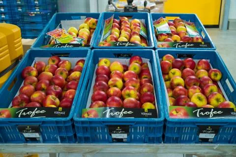 Apples in crates Stock Photos