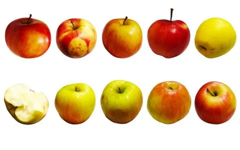 .Apples of different colors on a white background of different types. Stock Illustration