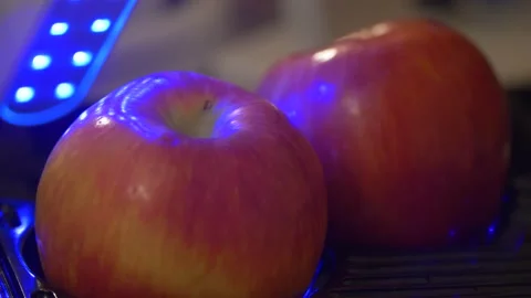 Apples disinfected with UV C sterilizer during the coronavirus pandemic Stock Footage 131684712